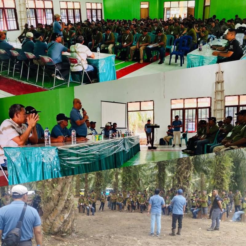 Berita Ratusan Petani Plasma PT KLS Ikuti Pelatihan Budidaya Kelapa Sawit, Dorong Peningkatan Ekonomi Petani